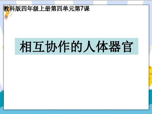 新编教科版小学四年级科学上册《相互协作的人体器官》精品教学课件