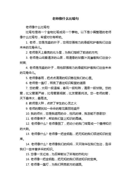 老师像什么比喻句