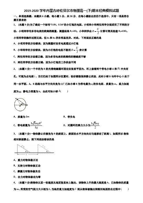 2019-2020学年内蒙古呼伦贝尔市物理高一(下)期末经典模拟试题含解析