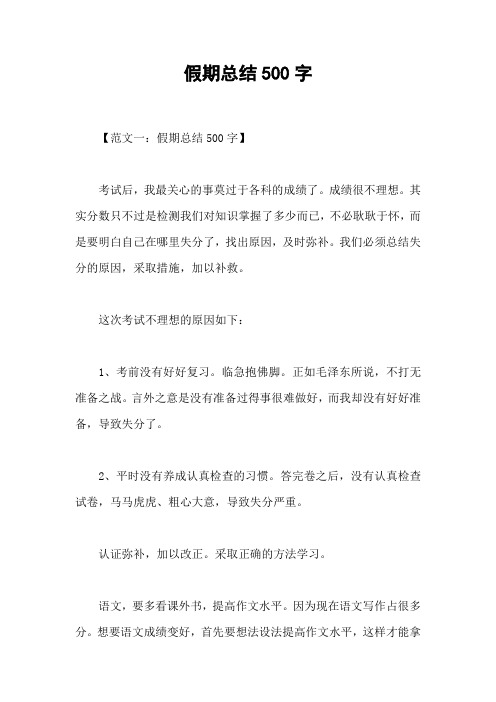 假期总结500字