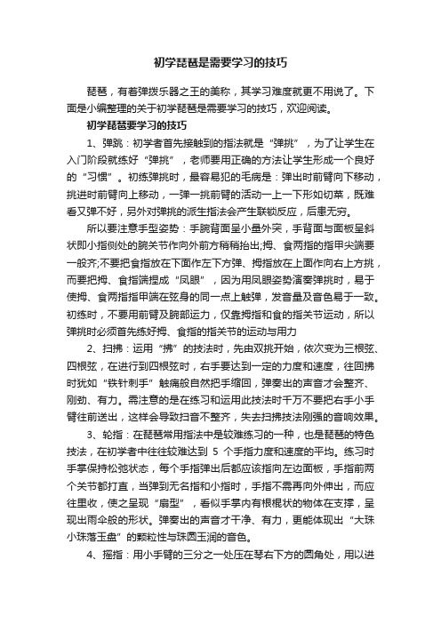 初学琵琶是需要学习的技巧