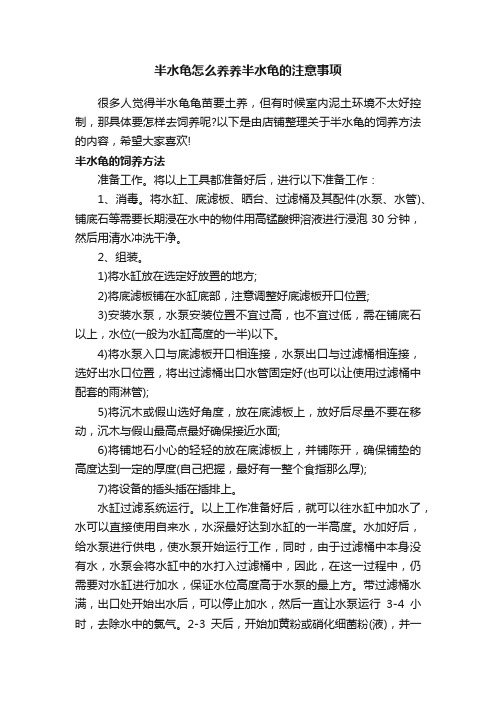 半水龟怎么养养半水龟的注意事项