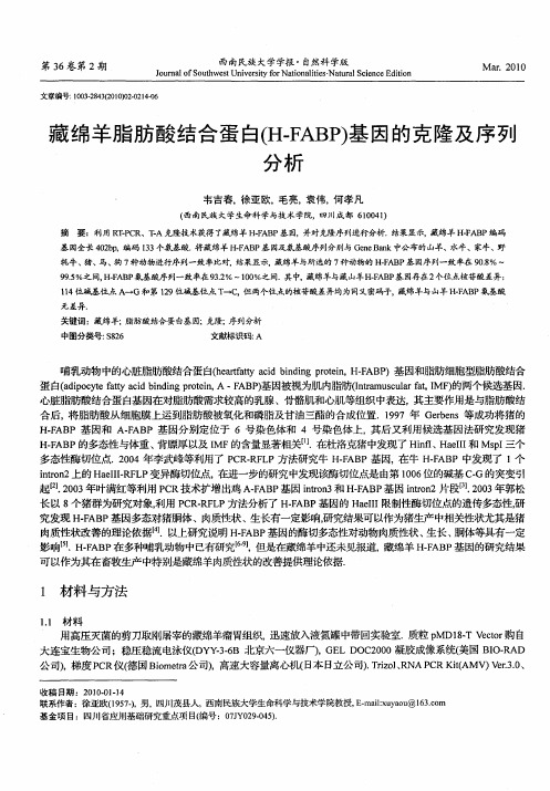 藏绵羊脂肪酸结合蛋白(H-FABP)基因的克隆及序列分析