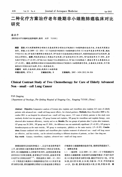 二种化疗方案治疗老年晚期非小细胞肺癌临床对比研究