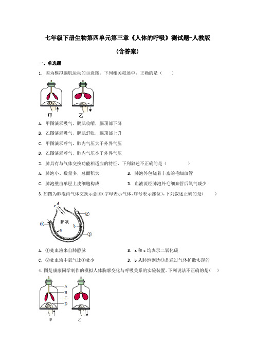 七年级下册生物第四单元第三章《人体的呼吸》测试题-人教版(含答案)