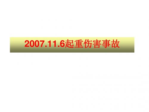 2007.11.6起重伤害事故