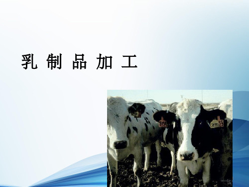 食品加工工艺PPT课件