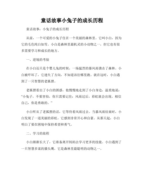 童话故事小兔子的成长历程