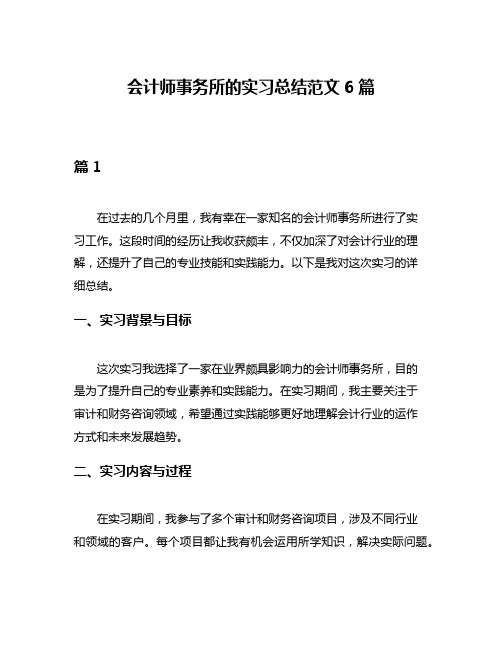 会计师事务所的实习总结范文6篇