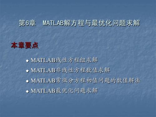 第6章  MATLAB解方程与最优化问题求解