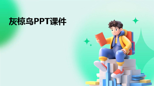 灰椋鸟ppt课件