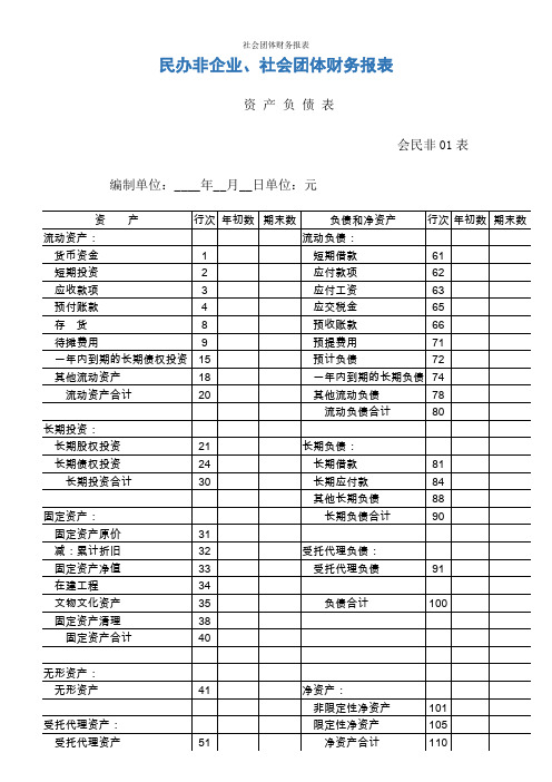 社会团体财务报表