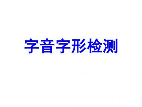 字音字形检测