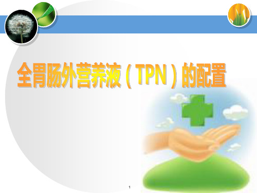 TPN的配置PPT课件