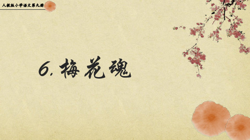 《梅花魂》教学ppt课件