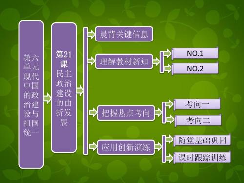 高中历史 第六单元 第21课 民主政治建设的曲折发展课件 新人教版必修1