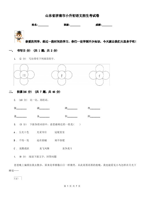 山东省济南市小升初语文招生考试卷