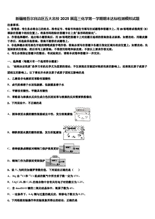 新疆维吾尔自治区五大名校2025届高三化学第一学期期末达标检测模拟试题含解析