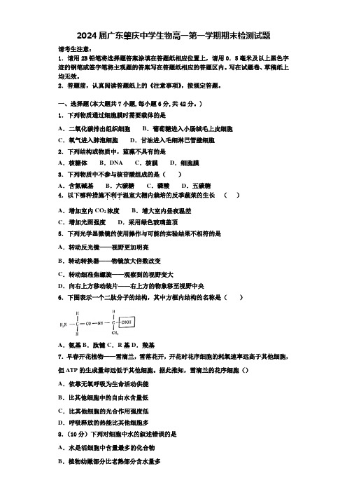 2024届广东肇庆中学生物高一第一学期期末检测试题含解析