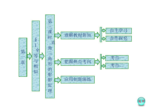 第一章  §1  第三课时  直角三角形的射影定理