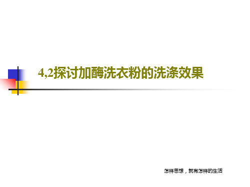 4,2探讨加酶洗衣粉的洗涤效果28页PPT