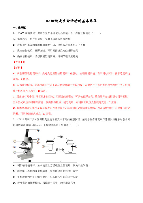 专题02 细胞是生命活动的基本单位(解析版)