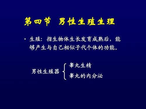 14.4男性生殖生理