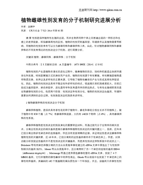 植物雌雄性别发育的分子机制研究进展分析