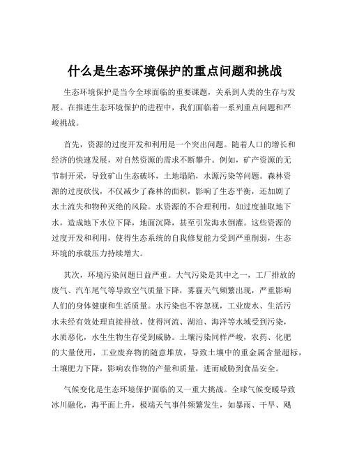 什么是生态环境保护的重点问题和挑战