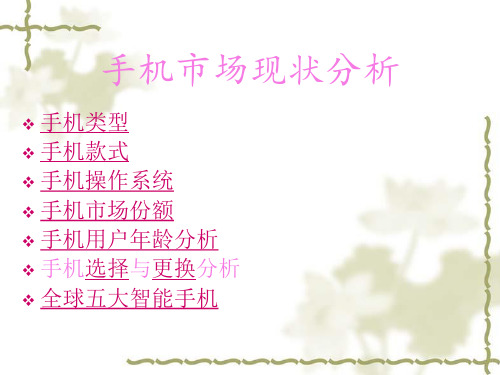 手机市场分析幻灯片