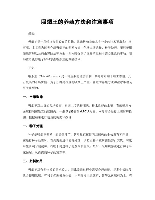 吸烟王的养殖方法和注意事项