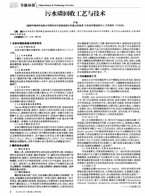 污水磷回收工艺与技术