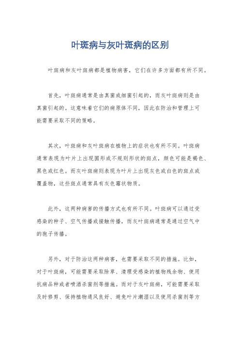 叶斑病与灰叶斑病的区别