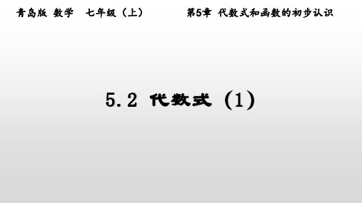 代数式(1)课件青岛版数学七年级上册