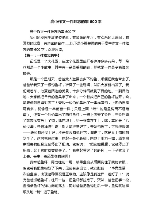 高中作文一件难忘的事600字