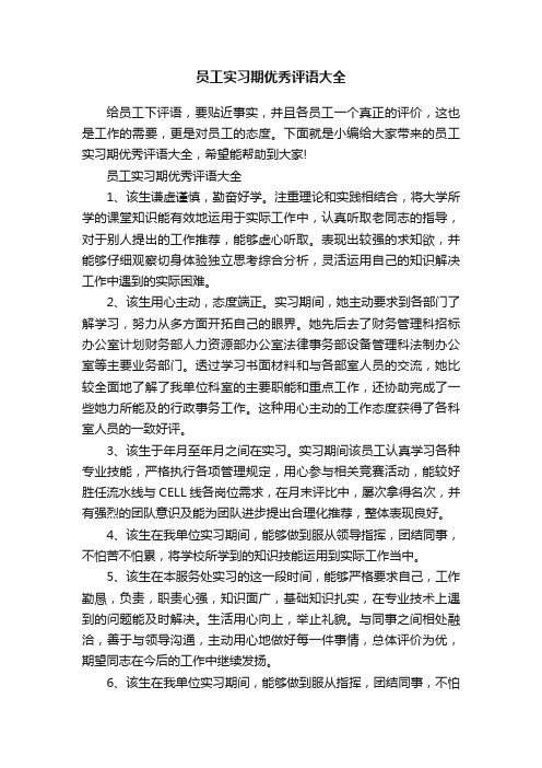 员工实习期优秀评语大全