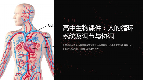 高中生物课件：人的循环系统及调节与协调