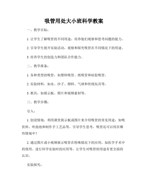 吸管用处大小班科学教案