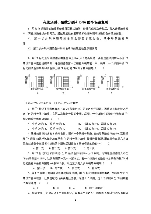 细胞分裂与DNA半保留复制