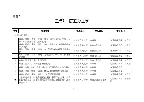 重点项目责任分工表