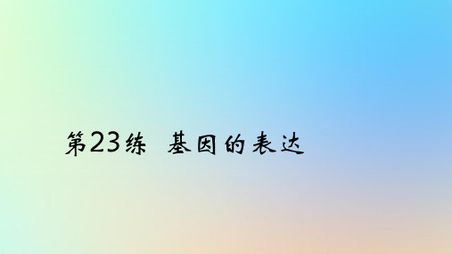 2025版高考生物一轮复习真题精练第六章遗传的分子基础第23练基因的表达课件