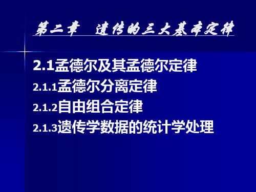 第二章 (上)  遗传的三大基本定律PPT课件