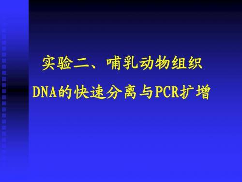 实验二 哺乳动物DNA的快速分离与PCR扩增