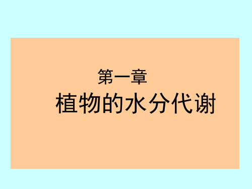 植物的水分代谢