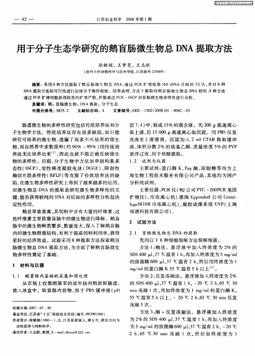 用于分子生态学研究的鹅盲肠微生物总DNA提取方法