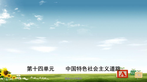 精选-中考历史一轮复习中国现代史第十四单元中国特色社会主义道路课件