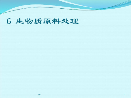 生物质原料处理过程与设备