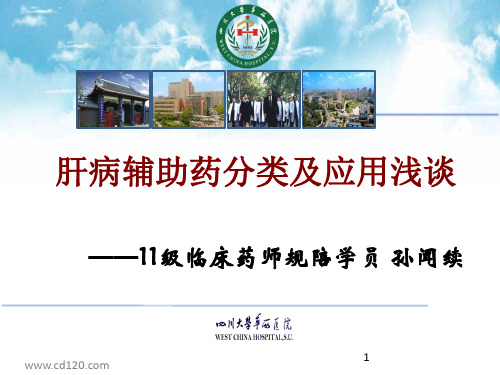 肝病辅助药 or 保肝药