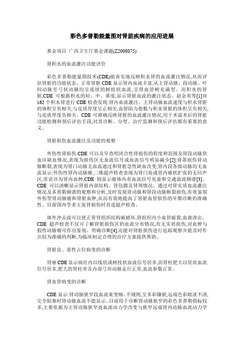 彩色多普勒能量图对肾脏疾病的应用进展