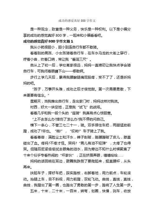 成功的感觉真好800字作文_成功励志